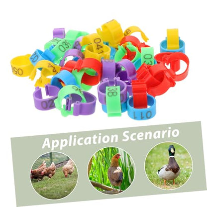 150pcs Poultry Leg Marking Reusable Chicken Identification Bands Bright Color Foot Clips for Easy Breed Separation Lightweight and Convenient for Poultry Care