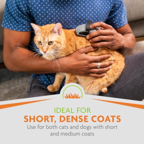 FURminator Curry Comb Grooming Brush for Short and Medium Coats