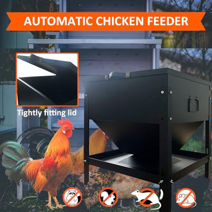 80 lb Automatic Chicken Feeder, Adjustable Height Poultry Set | Metal build, Latch closure, Carry handle, Grain storage, Ducks, Turkeys, Backyard coop, Farm use