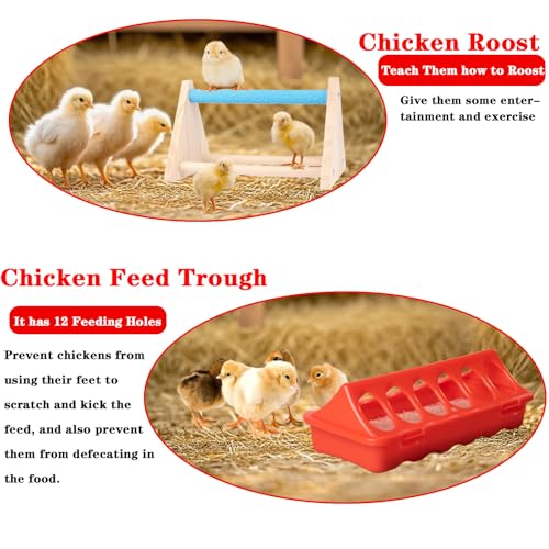 Chick Feeder and Waterer Kit,Automatic Chicken Feeder and Waterer Set with Chick Perch & Chicken Hats for Hen, for Baby Chicks, Ducks, and Quail.Chicken Coop Accessories