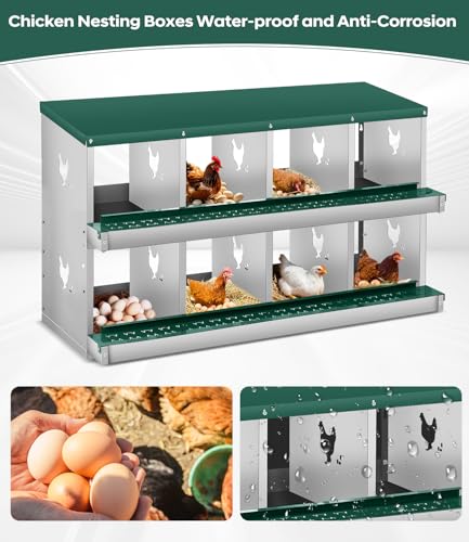 Chicken Nesting Box, 8 Compartment Metal Nesting Box,Wall Mount Chicken Nesting Boxes for Laying Eggs,Easy Egg Collection,8 Room Nest Boxes for Chickens - size: Green 8 Compartment