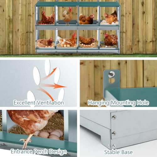 Durable Metal Chicken Nesting Box for Hens – Wall-Mounted Poultry Nest with Ventilation, Easy-Clean Design for Backyard Coops (8-Hole,Green)