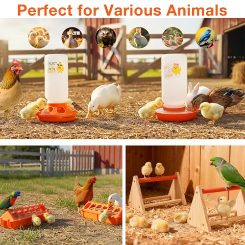 Chicken Feeder and Waterer Set,Automatic 1L Chick Feeder and Waterer with 2 Wooden Perch,Baby Chicks Supplies for Ducks,Quail,Small Poultry Coop Accessories