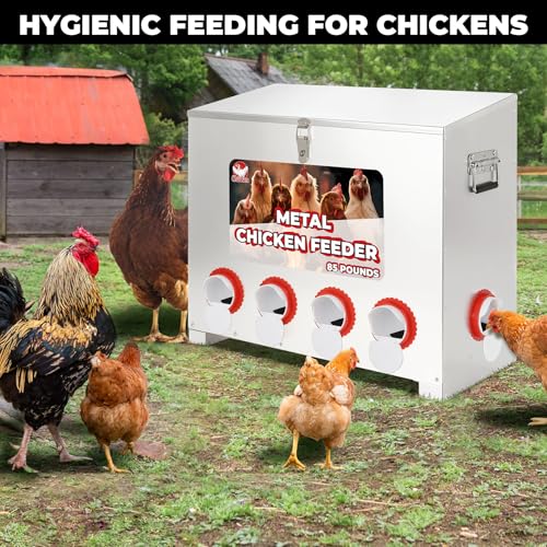 Sidasu 85 lbs 6-Port Galvanized Chicken Feeder No Waste with Locking Lid&Riveted Handles,Adjustable Height,Large Capacity Rainproof Automatic Chicken Feeders for Chickens, Poultry Coop,Silver - size: 85lbs