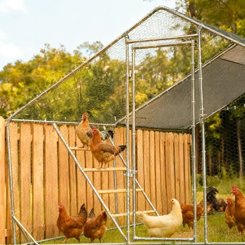Chicken Perch for Coop, 41" W x 55" L, Chicken Roosting Bars, Toys Roost Ladder for Backyard Poultry, Funny Chicken Coop Accessories - size: 41.5"L x 1.5"W x 56.0"H, style: Perch Only