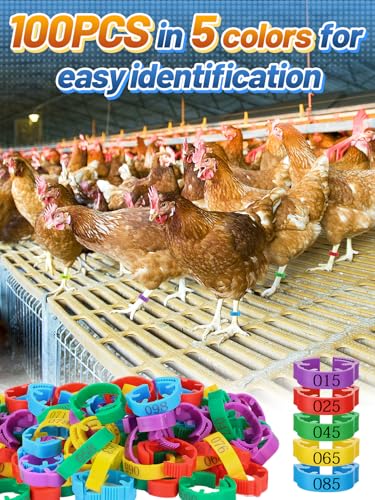 MEWTOGO 17-23mm Adjustable 100 Pcs Chicken Leg Bands - Colorful Numbered Chicken Identification Leg Rings, Durable Poultry Leg Bands for Ducks Goose Turkey Small Birds