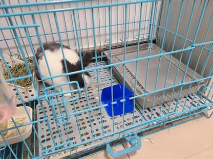 Pack of 20 Cage Cups Birds Feeders Seed Bowl Chicken Feeding Watering Dish Rabbit Water Food Hanging Wire Cages Box 16 oz Coop Cups for Pet Parrot Parakeet Game Fowl Poultry Pigeon - color: Blue Square 20 packs 16oz