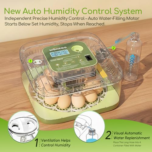 Incubator for Hatching Eggs with Turning,12 Eggs Automatic Incubator and Temperature Control Precise Humidity Control, 360° View Clear Window for Hatching Chicken, Quail Bird,Duck, Pigeon Eggs