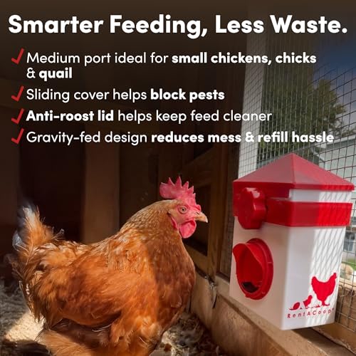 RentACoop 2.5lb Chick2Chicken Medium Sliding Port Feeder and 64 Ounce (2 Liter) Drinker Set – Includes Coop Clip, 2 Versatile Nipples, and Auto-Fill Cup for Waterer
