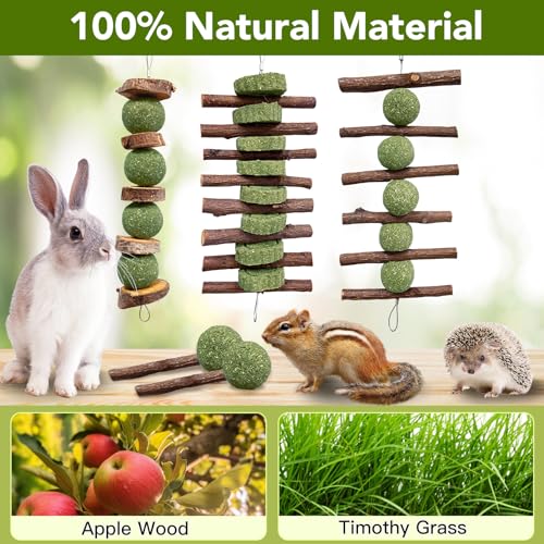 Jorewood 3 Pcs Bunny Chew Toys with 3 Pcs Rabbit Chew Lollipop for Teeth Grinding, Improve Dental Health, Treats for Rabbits Guinea Pigs Chinchillas Bunnies Hamsters - size: 6 count