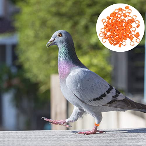 Happyyami Snap Pigeon Bands Bird Identification Rings Lightweight Leg Bands for Poultry Easy to Apply - color: Orange