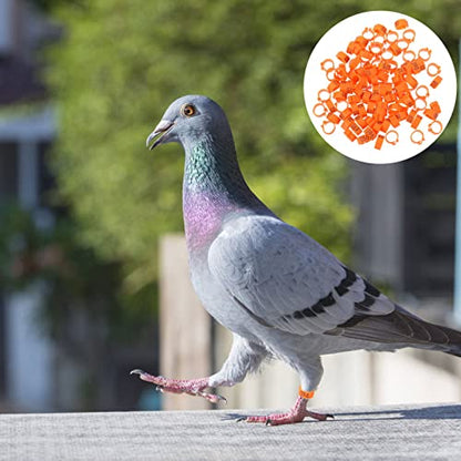 Happyyami Snap Pigeon Bands Bird Identification Rings Lightweight Leg Bands for Poultry Easy to Apply - color: Orange