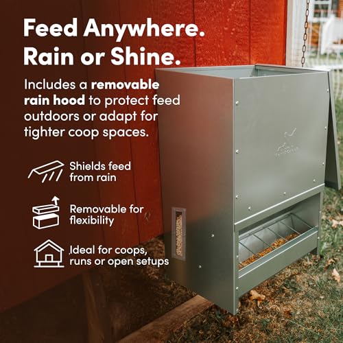 RentACoop Metal Trough Feeder with Lid & Rain Cover – Galvanized Steel – Side View Window – Moveable Grate for Easy Cleaning – Suitable for Chickens, Ducks, Poultry & More – 50lb Capacity - size: 50LB Capacity