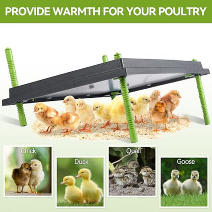 16"x22" Chick Brooder Heater Plate & Shaledig Brooder Box for 15 Chicks