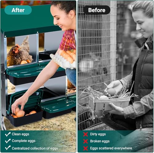 10 - Compartment Roll Away Chicken Nesting Box, Wall - Mount Laying Egg Box with Easy Egg Collection & Cleanable Pull - Out Trays, Hen Roosting Boxes for Efficient Egg Laying（Green）
