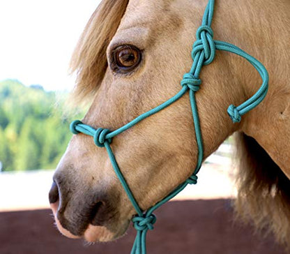 Star Point Horsemanship Mini-Pony 4 Knotted Rope Halter & 8' Lead Set (Teal, Large 38-42" Pony) - color: Teal, size: Large 38-42" Pony