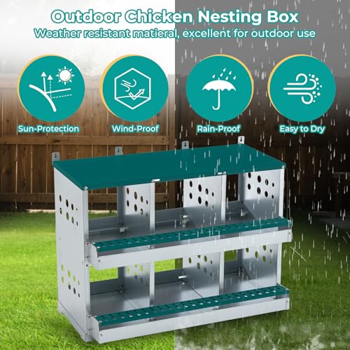 Yafylly Chicken Nesting Box 6 Compartments, Metal Chicken Laying Boxes Wall Mountable, Easy Egg Collection Roll Away Nesting Boxes Chicken, Chicken Coop Nesting Boxes for Hens Laying Eggs - color: Green, size: 6-Hole