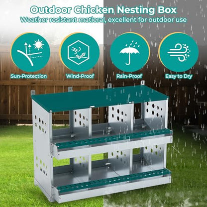 Yafylly Chicken Nesting Box 6 Compartments, Metal Chicken Laying Boxes Wall Mountable, Easy Egg Collection Roll Away Nesting Boxes Chicken, Chicken Coop Nesting Boxes for Hens Laying Eggs - color: Green, size: 6-Hole