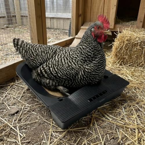 Roll Away Nesting Box for Chicken Coop, 3-Pack with 9 Coconut Fiber Pads, Automatic Egg Collection System (3Pack)