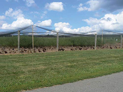 Stromberg's 1" Knotted Netting, Game Bird Netting, Heavy Duty, Chicken Coops, Gardening, UV-Resistant, 85 lb. Break Strength, 50'x100' - style: 1" Netting - 50' x 100'