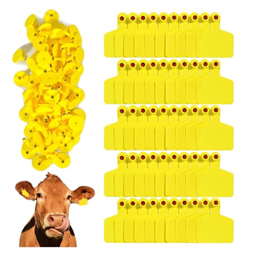 100 Blank Cattle Ear Tags | Large Plastic Precision Animal Identification Blank Livestock Ear Tags | Suitable for Farm Management of Cattle, Horses, Dogs, Pigs, Goats, and Sheep Yellow - color: Yellow