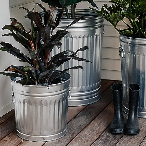 Behrens Galvanized Steel Trash Can 20 gallon