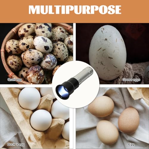 Garneck Egg Detector Lamp Portable Egg Incubator Light for Quail and Chicken Eggs for Candling and Incubation Monitoring High Brightness Easy to Use Design