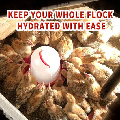 2 Pack 1.5L Chick Waterer with Handle – Poultry Drinker Set for Chicks, Ducks, Turkeys, and Small Farm Birds | Plastic Water Dispenser for Coop