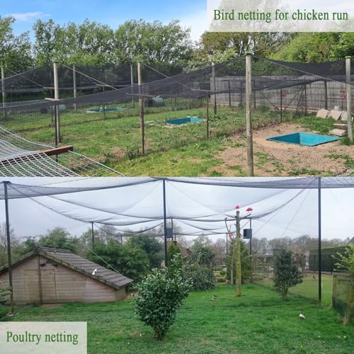 Bird Netting for Chicken Coop 25x100 Ft, 1" Mesh, Strong Woven Poultry Netting Roof Cover for Chicken Run, Heavy Duty Bird Net for Fruit Trees, Blueberry, Vegetables, Garden Protection - size: 25x100Ft-1"