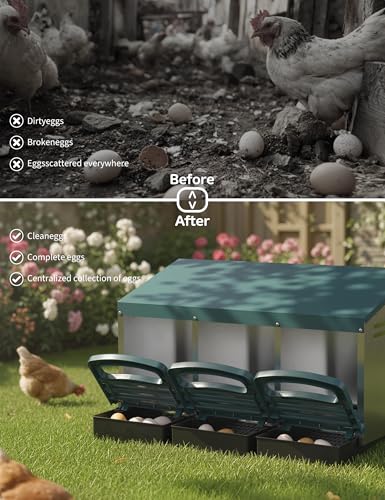 3 Hole Roll Away Chicken Nesting Box - Chickens Laying Box with Removable Tray, Easy Egg Collection & Cleaning, Metal Nesting Boxes for Backyard, Farm, Poultry Coop - color: green, size: 3 Compartment