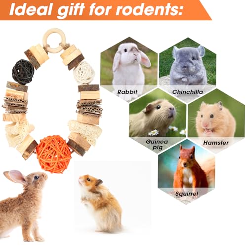 Abizoo Guinea Pig Chew Toys,Bunny Toys Hanging,Natural Wood for Rabbits Teeth Grinding Chinchilla,Bird,Dwarf Hamster,Rabbit Chew Toys Treats Small Animals Enrichment Boredom for Cage