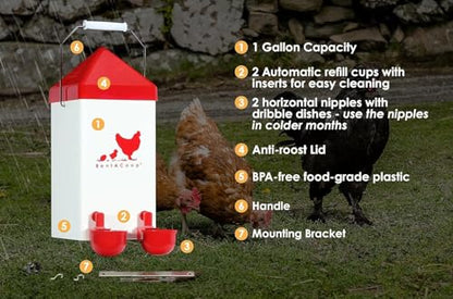 RentACoop 1 Gallon Chicken Waterer with 2 Auto-Fill Cups, Horizontal Nipples and Anti-Roost Cone - Suitable for Chicks, Chickens, Quails, Pigeons and Gamebirds