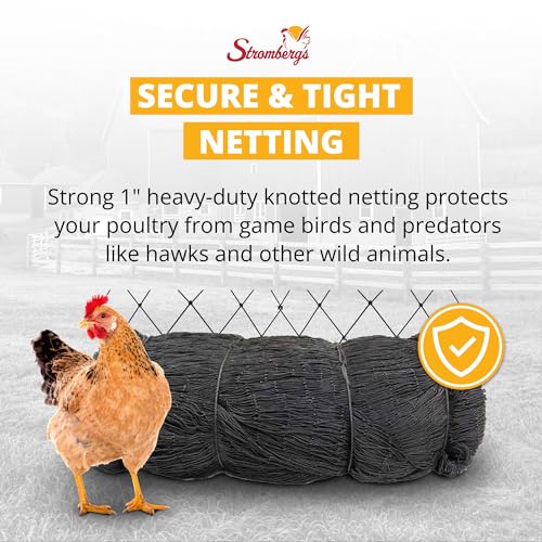 Stromberg's 1" Knotted Netting, Game Bird Netting, Heavy Duty, Chicken Coops, Gardening, UV-Resistant, 85 lb. Break Strength, 25'x100' - style: 1" Netting - 25' x 100'