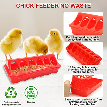 Chick Feeder and Waterer Kit with Chick Perch, 1l Chick Waterer, Flip Top Poultry Feeder, Chick Starter Kit for Chick Brooder, Baby Chicken Supplies for Baby Chick, Duck and Quail - color: Chick Feeder and Waterer Kit with Chick Perch