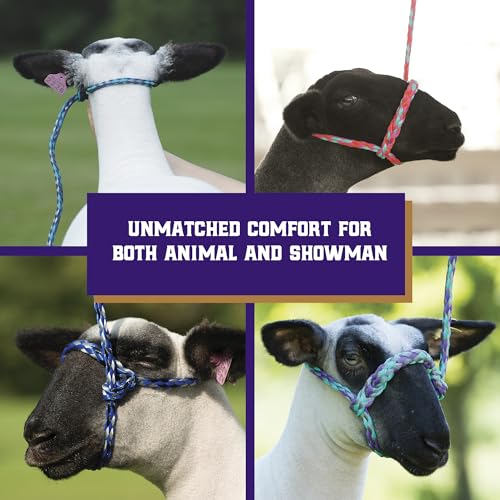 Weaver Livestock Braided Poly Rope Halter, 4 ft | Modern, Adjustable, Soft Braid, For Sheep & Goats - color: Gray/Lavender/Mint