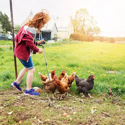 KESYOO Chicken Coop Cleaning Shovel 38cm Long Handle Heavy Duty Metal Chicken Waste Collection Tool Poultry Supplies Farm Use