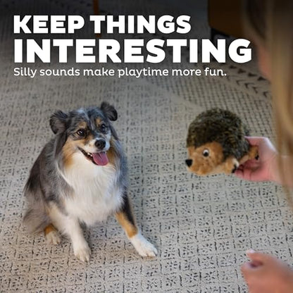 Outward Hound Hedgehogz Stuffed Dog Toy – Soft Plush Hedgehog, Grunts & Squeaks, Medium, 9" x 5" x 6.5" - size: Medium (Pack of 1)