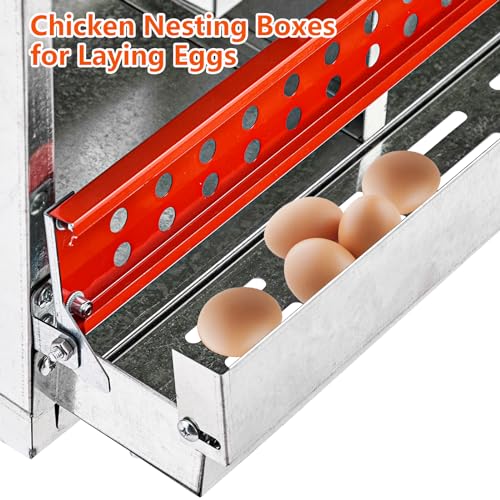 8 Compartment Metal Chicken Nesting Boxes for Hens - Heavy Duty Galvanized Steel Poultry Laying Box with Roll Away Egg Collection Tray & Perch, Wall Mount Coop Nest Box for Chickens & Ducks