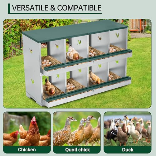 GarveeLife Chicken Nesting Box, 10 Compartments Nesting Box for Chickens, Two-Tier Steel Chicken Egg Laying Box with Large Vented Holes Wall Mounting for Easy Egg Collection - color: Green / 10 Compartments