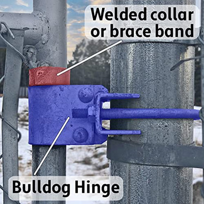 Chain Link Fence Bull Dog Commercial Duty Gate Hinge-for 2-3/8" Outside Diameter Gate Post/Pipe & 1-5/8" Thru 1-7/8" Gate Frames-Galvanized Chain Link Post Gate Hinge -Includes Nuts/Bolts - size: 2-3/8" Post - 1-5/8 & 1-7/8" Gate Frames