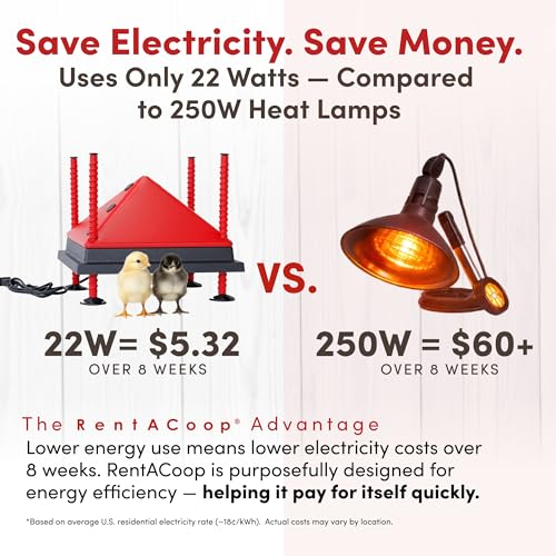 RentACoop 12x12” Adjustable Heating Plate with Bonus Foldable Anti-Roost Cone for up to 20 Chicks | Chick Brooder Heat Plate – Energy-Efficient 22-Watt Chick Heater - Safer Than Heat Lamps