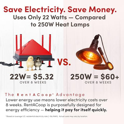 RentACoop 12x12” Adjustable Heating Plate with Bonus Foldable Anti-Roost Cone for up to 20 Chicks | Chick Brooder Heat Plate – Energy-Efficient 22-Watt Chick Heater - Safer Than Heat Lamps