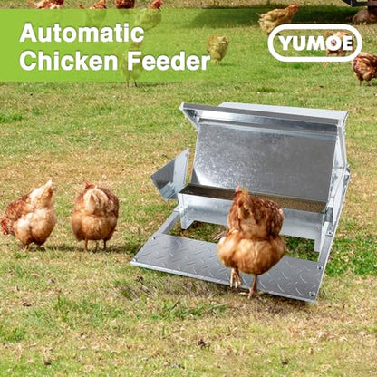 Chicken Feeder Galvanized 25Lbs Capacity Weatherproof Treadle Chicken Feeder Rodent Proof - size: 25Lbs Feeder