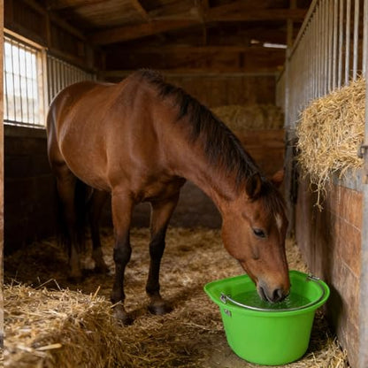 Horse Feeder Livestock Feeding Container Sturdy PP Metal Bucket Ergonomic Handle Portable Suitable for Ranch barn Stable Livestock Feeding, Green - color: Green