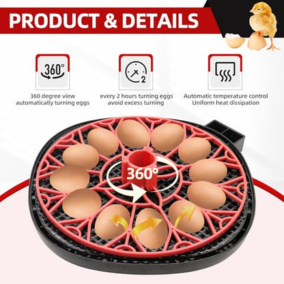 12 Egg Incubator with Humidity Display, Egg Incubator with Automatic Egg Turning and Automatic Water Bottle Refill, Chicken Incubators for Hatching Eggs, Duck Egg Quail Incubator