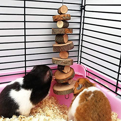 LWINGFLYER Small Animal Chews Toy Natural Apple Wood Block Cage Hanging Molars Treats Snack for Hamsters Rabbits Bunny Bird Parrots Chinchilla Guinea Pig Gerbils Squirrels (4pcs Natural Apple Wood) - color: 4pcs Natural Apple Wood