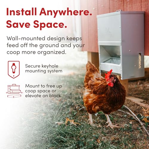 RentACoop Metal Trough Feeder with Lid & Rain Cover – Galvanized Steel – Side View Window – Moveable Grate for Easy Cleaning – Suitable for Chickens, Ducks, Poultry & More – 50lb Capacity - size: 50LB Capacity