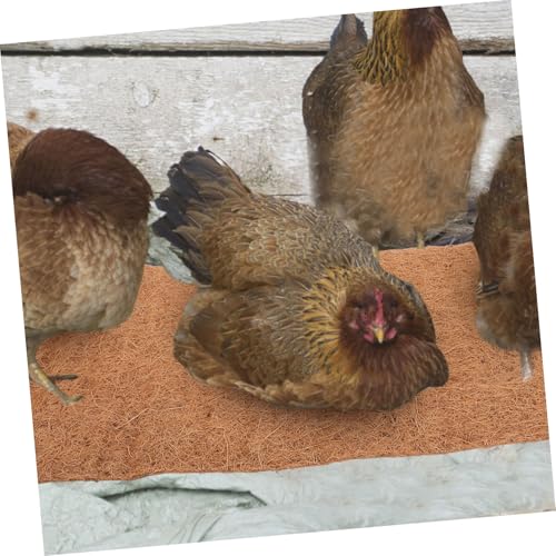 Toyvian 4pcs Washable Chicken Nesting Pads Soft Coconut Coir Nest Box Liners for Comfortable Egg Laying for Chicken Coop and Poultry Setup