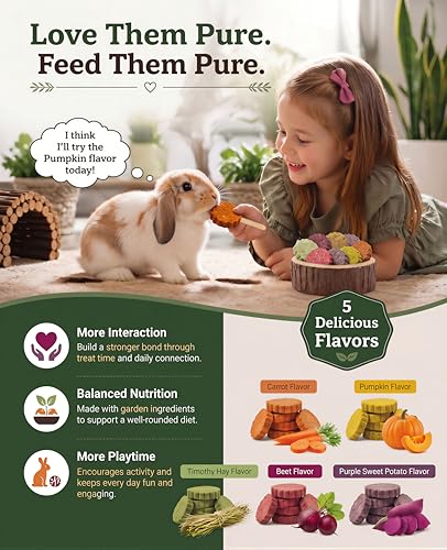 C-LIGHT Guinea Pig Chew Toys, Rotating Spinner + 8 Pcs Timothy Hay Rabbit Chew for Teeth Grind & Digestion, Rust-Proof Aluminum Toy, for Rabbit, Bunny, Chinchilla, Hamster Dental Health (Sliver) - color: Sliver