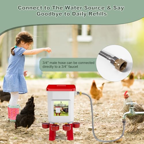 3 Gallons Automatic Chicken Waterer, Float-Controlled Chicken Water Feeder, Large Watering System with 60 Inch Water Hose (One End 3/4''), Poultry Waterer for Duck Quail Turkey Chick
